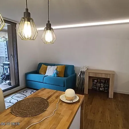 公寓 Cosy Avec Terrasse A Deux Pas De La 尼斯